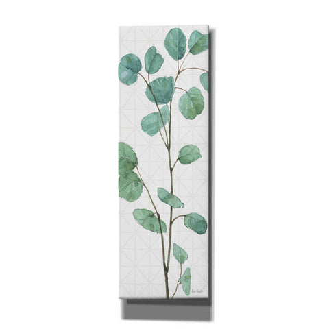 Image of 'Mixed Greens LIX' by Lisa Audit, Canvas Wall Art