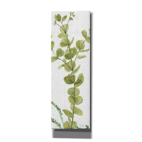 Image of 'Mixed Greens LX' by Lisa Audit, Canvas Wall Art