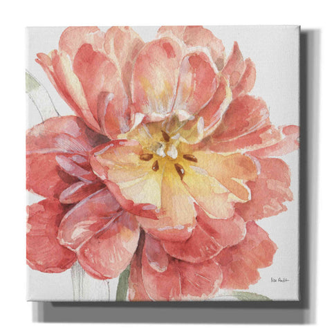 Image of 'Spring Meadow V' by Lisa Audit, Canvas Wall Art