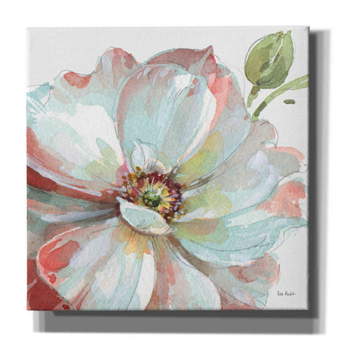 Image of 'Spring Meadow VI' by Lisa Audit, Canvas Wall Art