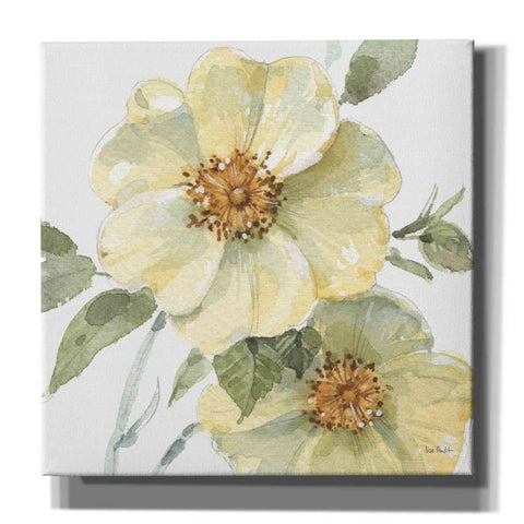 Image of 'Spring Meadow VII' by Lisa Audit, Canvas Wall Art