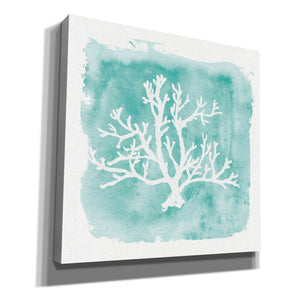 'Water Coral Cove V' by Lisa Audit, Canvas Wall Art