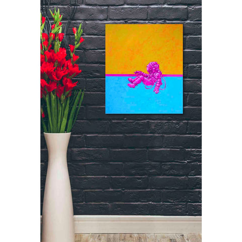 Image of 'Hallo Spaceboy I' Craig Snodgrass, Canvas Wall Art,20 x 24