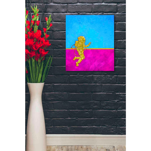 Image of 'Hallo Spaceboy II' Craig Snodgrass, Canvas Wall Art,20 x 24