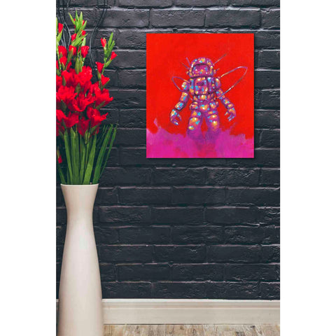 Image of 'Zapow Art I' Craig Snodgrass, Canvas Wall Art,20 x 24