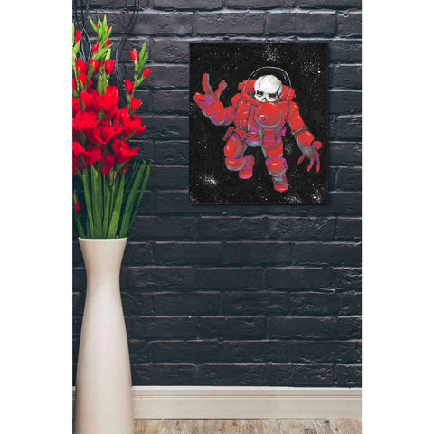Image of 'Astro Skull' Craig Snodgrass, Canvas Wall Art,20 x 24