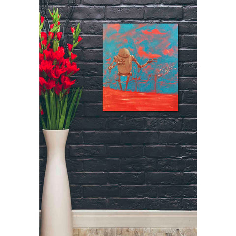 Image of 'Come Back 2' Craig Snodgrass, Canvas Wall Art,20 x 24