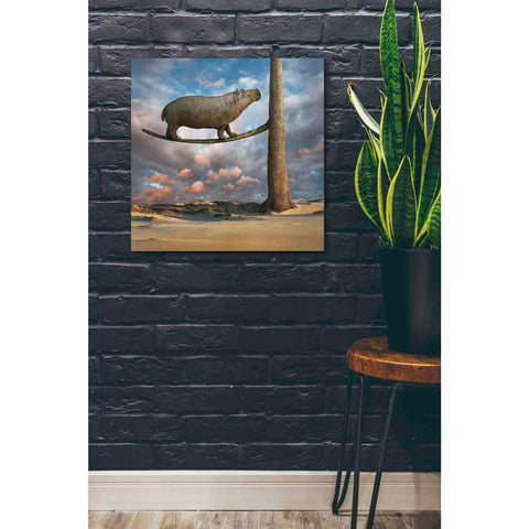 Image of 'Equilibrium' by Dariusz Klimczak, Canvas Wall Art,26 x 26