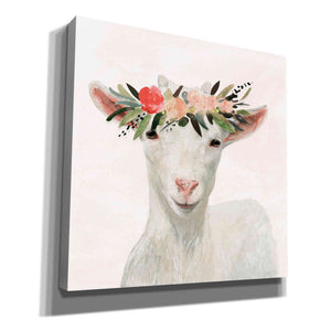 'Spring on the Farm III' by Victoria Borges, Canvas Wall Art