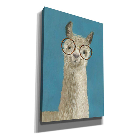 Image of 'Llama Specs III' by Victoria Borges, Canvas Wall Art