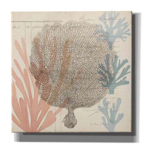 Image of 'Sea Ephemera I' by Grace Popp, Canvas Wall Glass