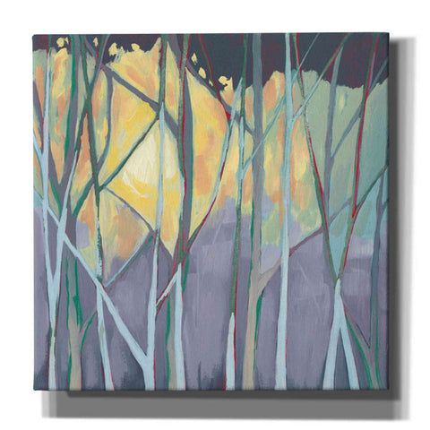Image of 'Tangled Twilight I' by Grace Popp, Canvas Wall Glass