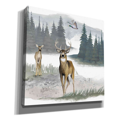 Image of 'Lodge Landscape II' by Grace Popp, Canvas Wall Glass