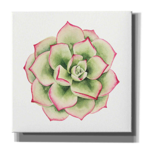 Image of 'Tropical Plant IV' by Grace Popp, Canvas Wall Glass