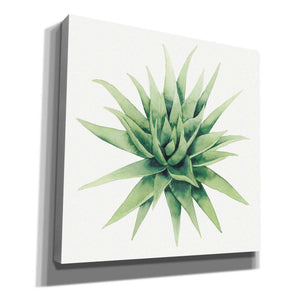 'Tropical Plant III' by Grace Popp, Canvas Wall Glass