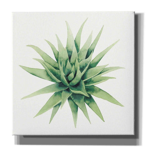Image of 'Tropical Plant III' by Grace Popp, Canvas Wall Glass