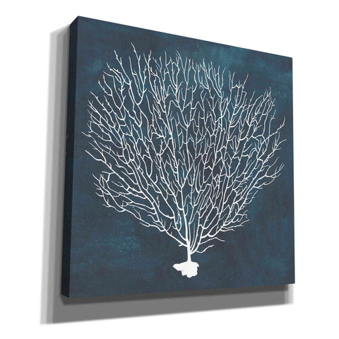 Image of 'Inverse Sea Fan IV' by Grace Popp, Canvas Wall Glass