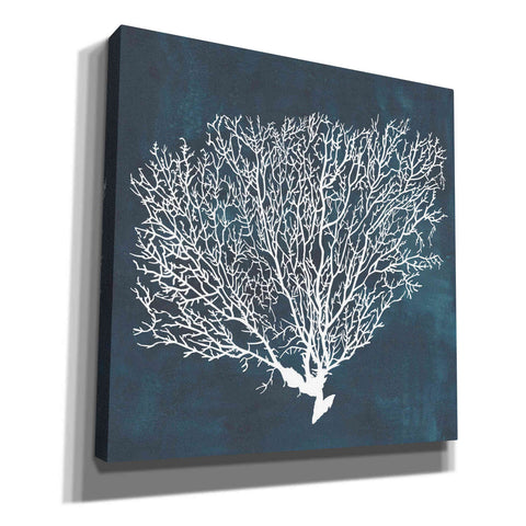Image of 'Inverse Sea Fan II' by Grace Popp, Canvas Wall Glass