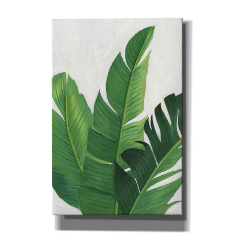 Image of 'Pura Vida II' by Grace Popp, Canvas Wall Glass