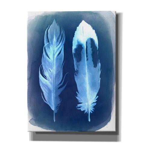Image of 'Feather Negatives II' by Grace Popp, Canvas Wall Glass