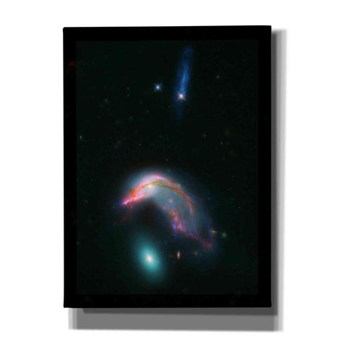 Image of 'Arp 142 Penguin and the Egg,' Canvas Wall Art
