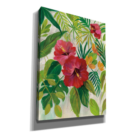 Image of 'Tropical Jewels I' by Silvia Vassileva, Canvas Wall Art