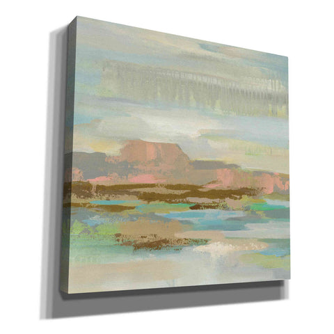 Image of 'Spring Desert II' by Silvia Vassileva, Canvas Wall Art