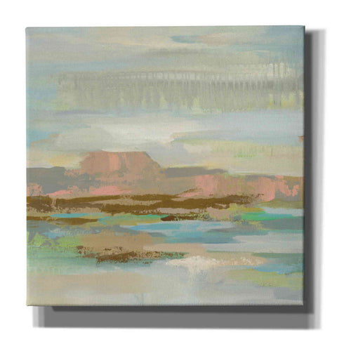 Image of 'Spring Desert II' by Silvia Vassileva, Canvas Wall Art
