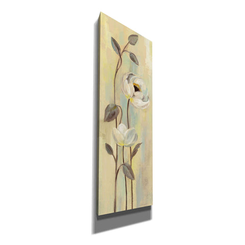 Image of 'Neutral Anemone Branches I' by Silvia Vassileva, Canvas Wall Art