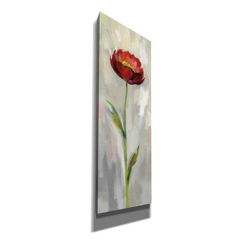 Image of 'Single Stem Flower II' by Silvia Vassileva, Canvas Wall Art