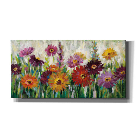 Image of 'Jewel Daisy Gerbera' by Silvia Vassileva, Canvas Wall Art