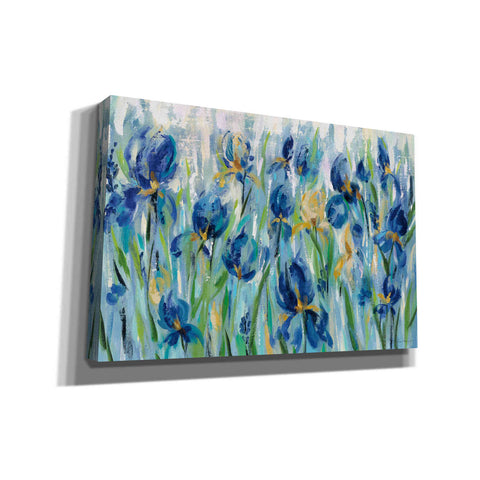 Image of 'Iris Flower Bed' by Silvia Vassileva, Canvas Wall Art