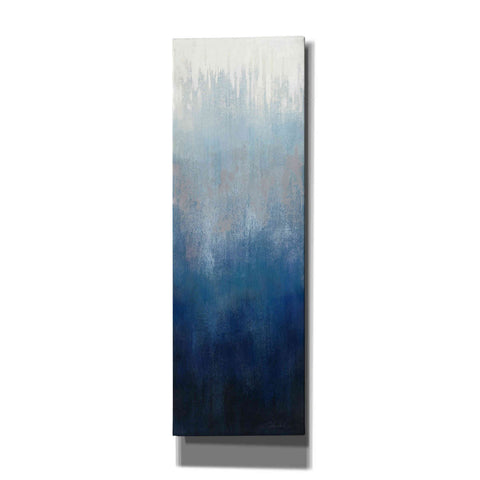 Image of 'Silver Wave I' by Silvia Vassileva, Canvas Wall Art