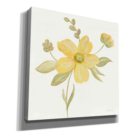 Image of 'June Bloom II' by Silvia Vassileva, Canvas Wall Art