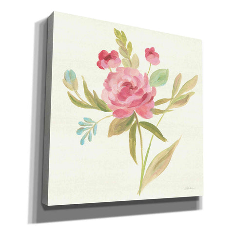 Image of 'Petals and Blossoms V' by Silvia Vassileva, Canvas Wall Art