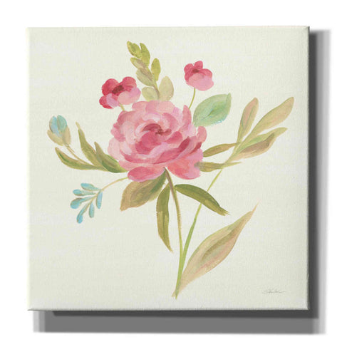 Image of 'Petals and Blossoms V' by Silvia Vassileva, Canvas Wall Art