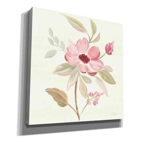 Image of 'Petals and Blossoms VI' by Silvia Vassileva, Canvas Wall Art