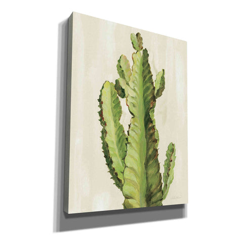 Image of 'Front Yard Cactus II' by Silvia Vassileva, Canvas Wall Art