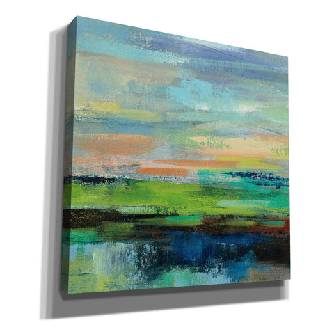 Image of 'Delmar Sunset II' by Silvia Vassileva, Canvas Wall Art