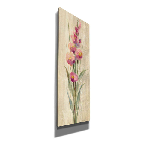 Image of 'Farm Flower I' by Silvia Vassileva, Canvas Wall Art