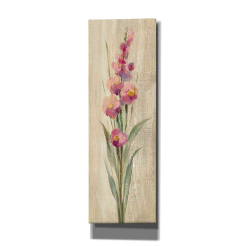 Image of 'Farm Flower I' by Silvia Vassileva, Canvas Wall Art