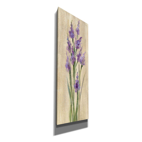 Image of 'Farm Flower II' by Silvia Vassileva, Canvas Wall Art