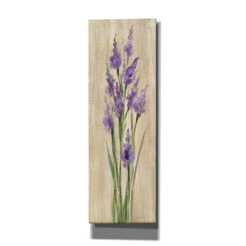 Image of 'Farm Flower II' by Silvia Vassileva, Canvas Wall Art