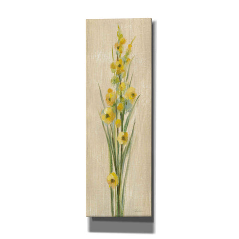 Image of 'Farm Flower III' by Silvia Vassileva, Canvas Wall Art