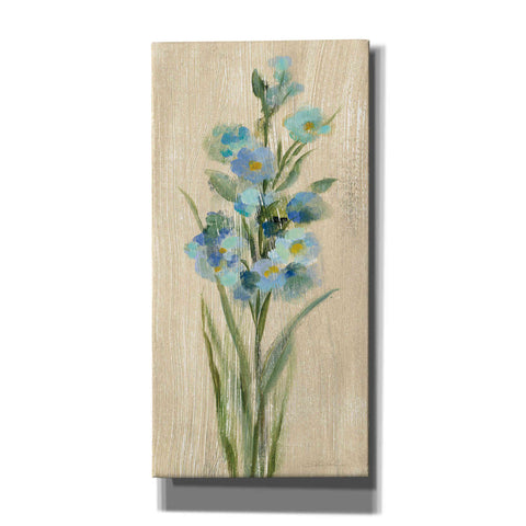 Image of 'Farm Flower IV' by Silvia Vassileva, Canvas Wall Art
