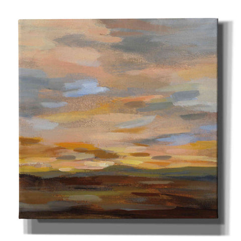 Image of 'High Desert Sky III' by Silvia Vassileva, Canvas Wall Art