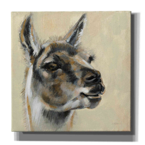 Image of 'Llama Portrait' by Silvia Vassileva, Canvas Wall Art