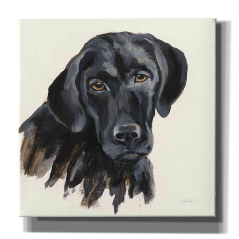 Image of 'Chrissy' by Silvia Vassileva, Canvas Wall Art