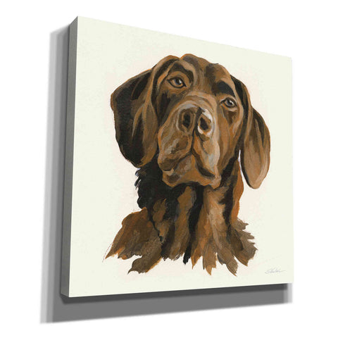 Image of 'Oscar' by Silvia Vassileva, Canvas Wall Art