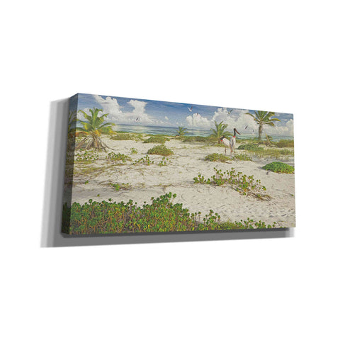 Image of 'Tropical Loners' by Steve Hunziker, Canvas Wall Art